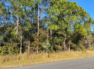 2195 Ramsdale Dr SE, Palm Bay, FL 32908