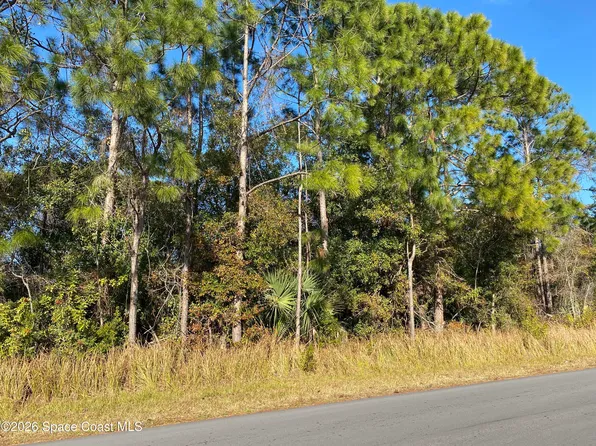 2195 Ramsdale Dr SE, Palm Bay, FL 32908