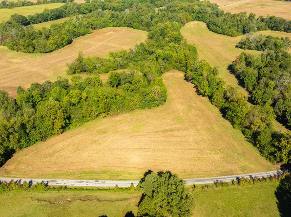 TRACT 3 Hearn Rd, Greenfield, TN 38230