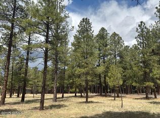 LOT 1 Hattie Grn, Flagstaff, AZ 86001
