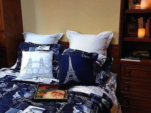 Queen Bedroom with builtin Desk Murphy bed Plus loft for storage playroom or double bed