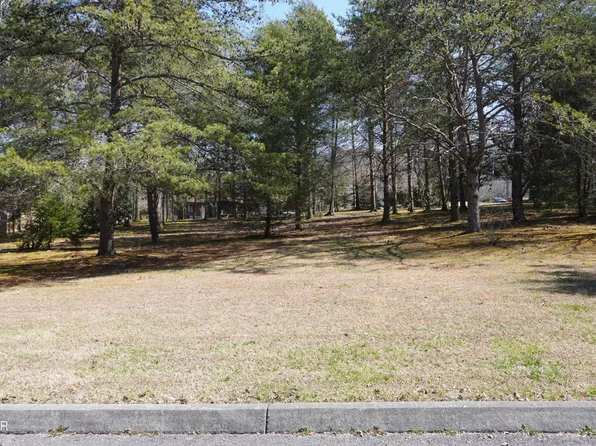 20 Rhododendron Trl Lot 20, Cosby, TN 37722