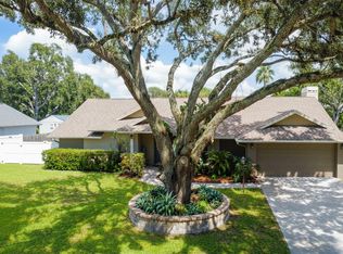 3044 Avalon Terrace Dr, Valrico, FL 33596