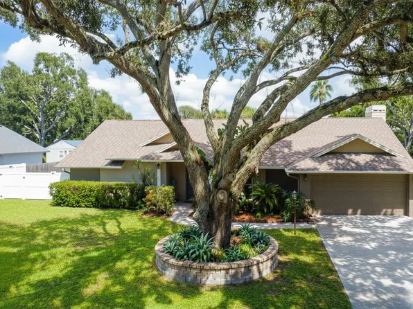 3044 Avalon Terrace Dr, Valrico, FL 33596