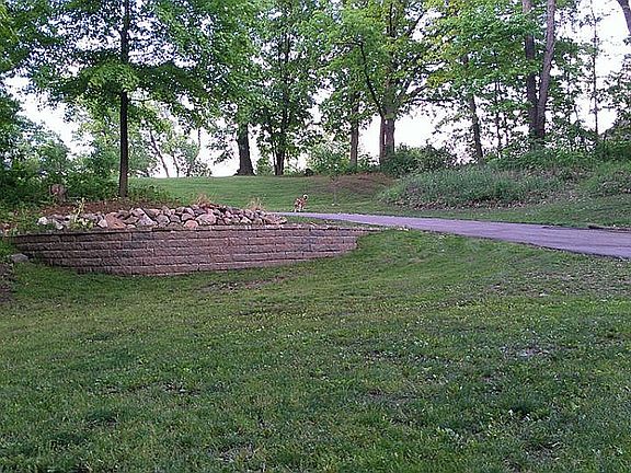 Front yard (north of house)