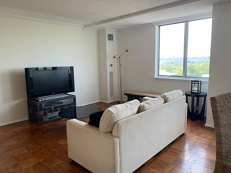 501 Slaters Ln #1118 — Photo 6