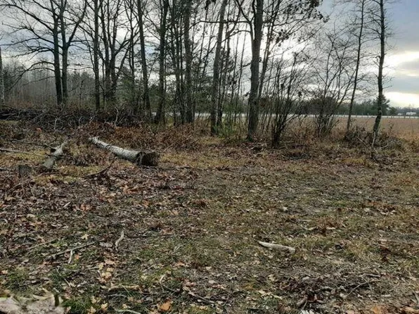 0 Us Highway 10 Lot 1, Hersey, MI 49639