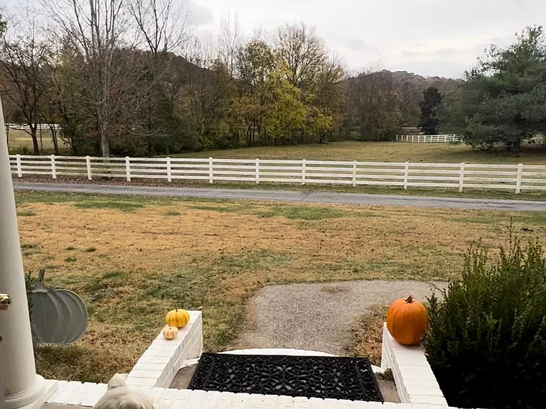 2025 Carters Creek Pike — Photo 15