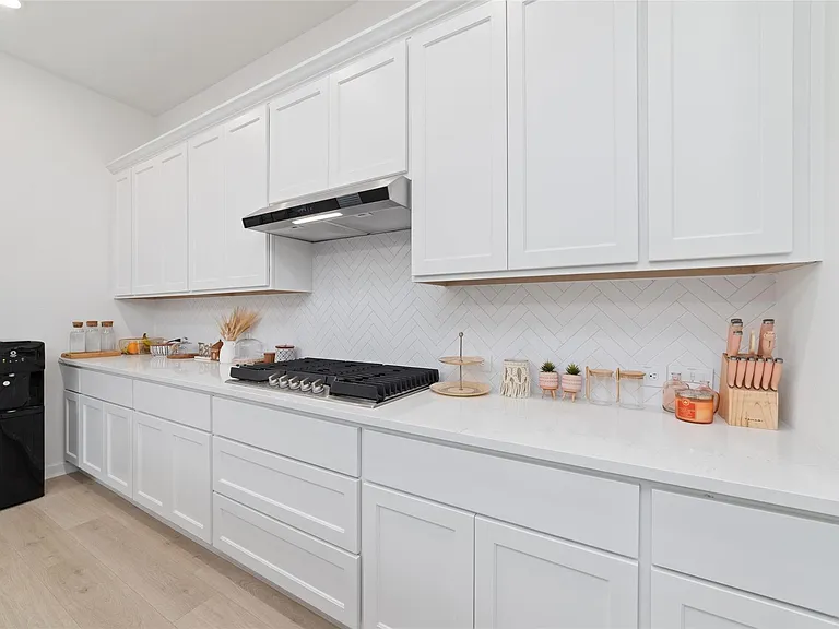 24711 Hibiscus Garden Way — Photo 20