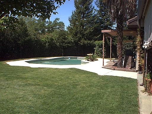 Backyard south