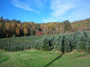 120 Teaberry Rd, Roan Mountain, TN 37687