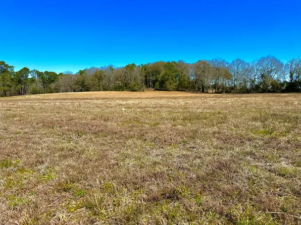 2254-0 County Road 2254, Troy, AL 36079