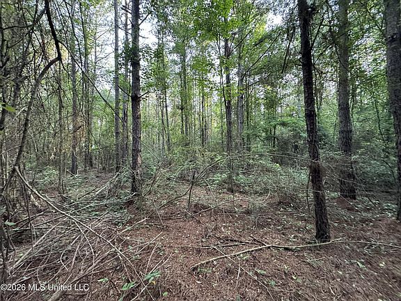 2nd image of N Lot 3 River Rd Lot 3