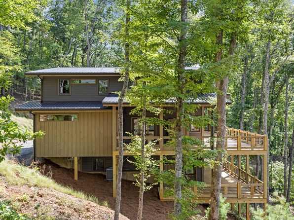 LOT 20 Blue Ridge Escape, Cherry Log, GA 30522