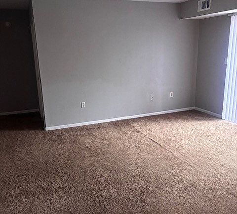 Living Area/Bedroom/Bathroom Area