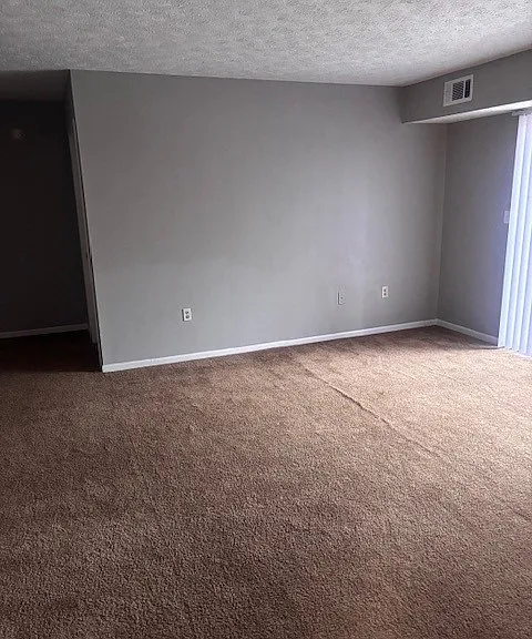 Living Area/Bedroom/Bathroom Area