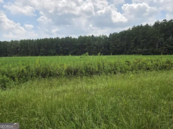 0 Roy And Blanche Hulett Rd #7, Fitzgerald, GA 31750