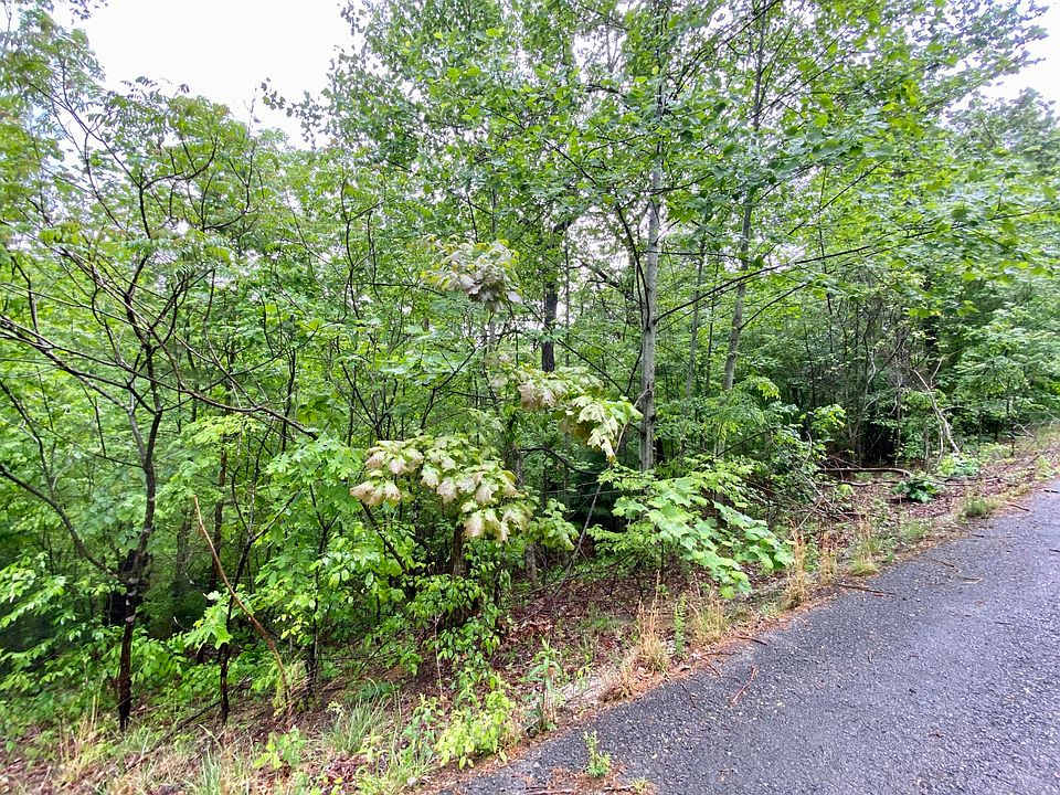 2nd image of 0 Boone Ridge Trl