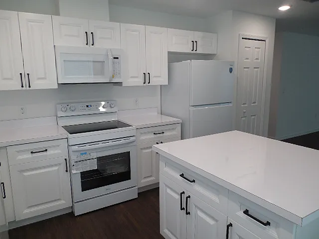 10311 Usher Street, Spring Hill Fl. 34608 Brand New 2-bedroom 2 bath — Photo 4