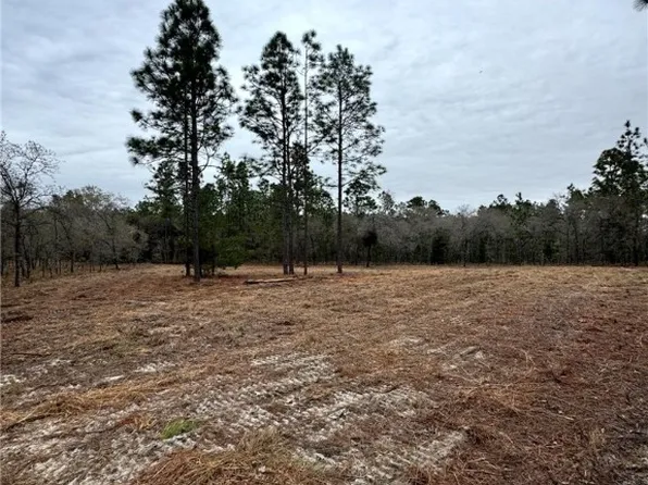 133 Southeast Ter, Morriston, FL 32668