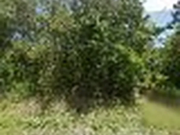 245 N Romero St, Clewiston, FL 33440