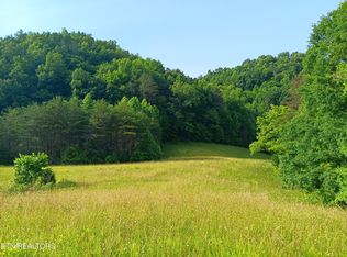 3 Black Valley Rd, Sneedville, TN 37869