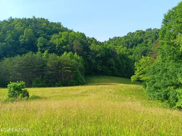 3 Black Valley Rd, Sneedville, TN 37869