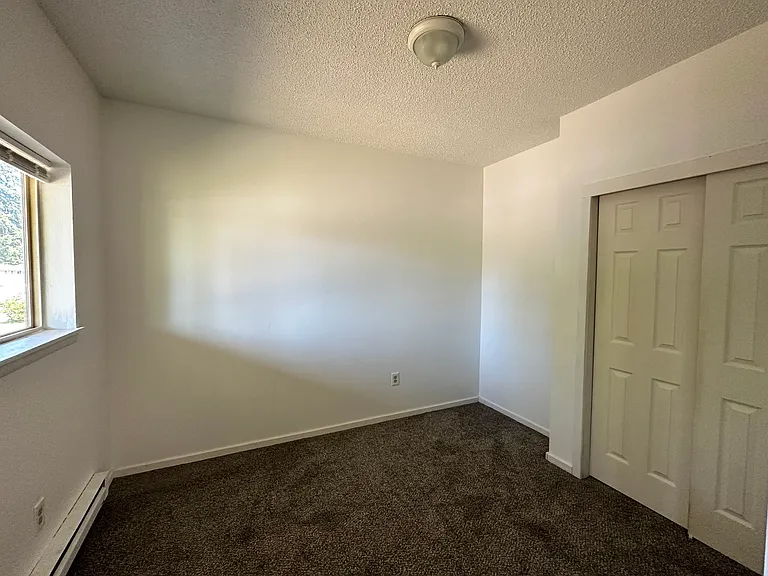 Downstairs Bedroom with closet