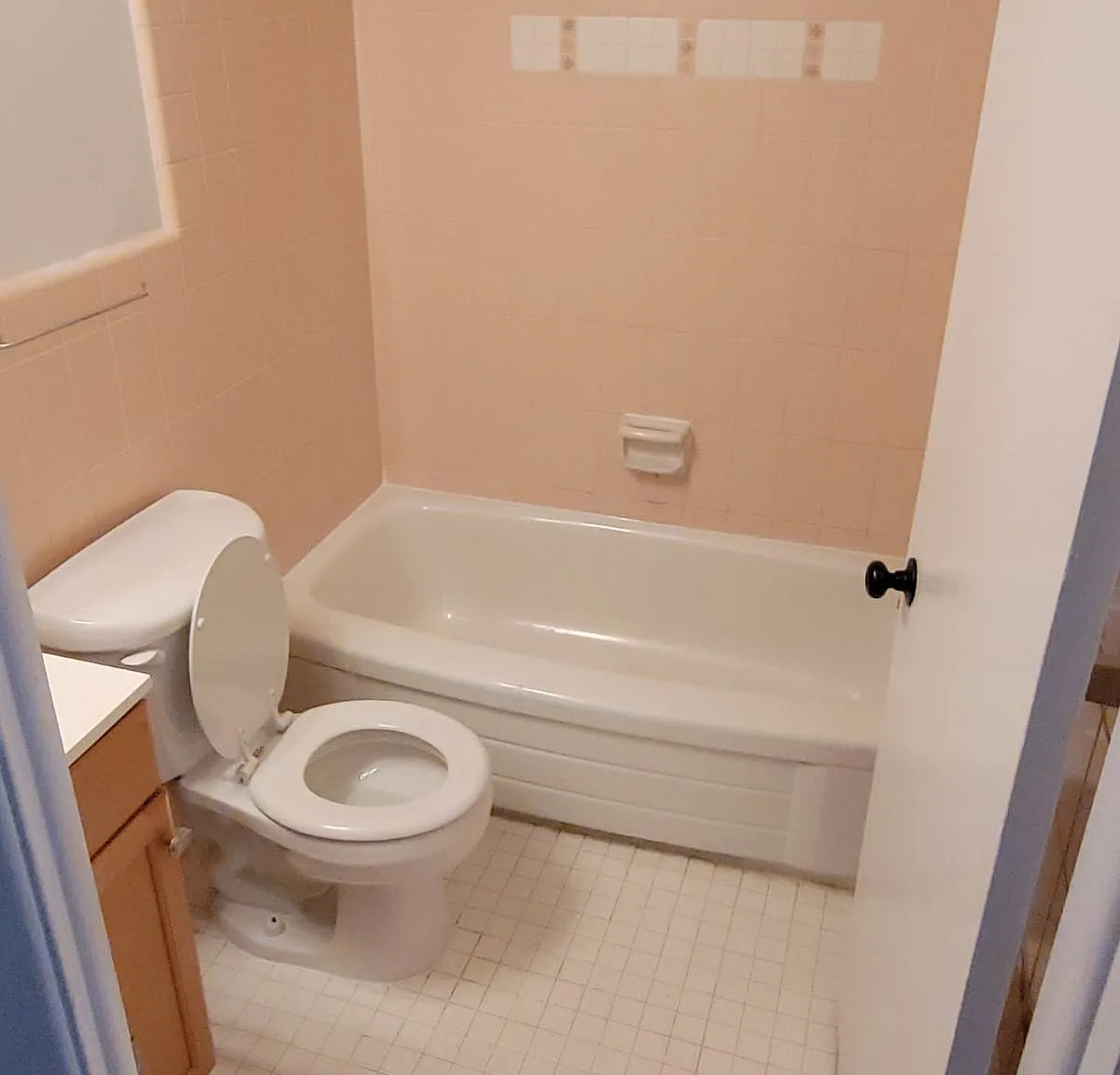 1 bed, 700 sqft, $1,350 — Photo 3