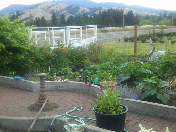 Beautiful Garden and path