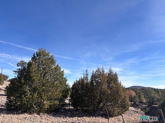 4th image of 17 Morningstar Cir #17