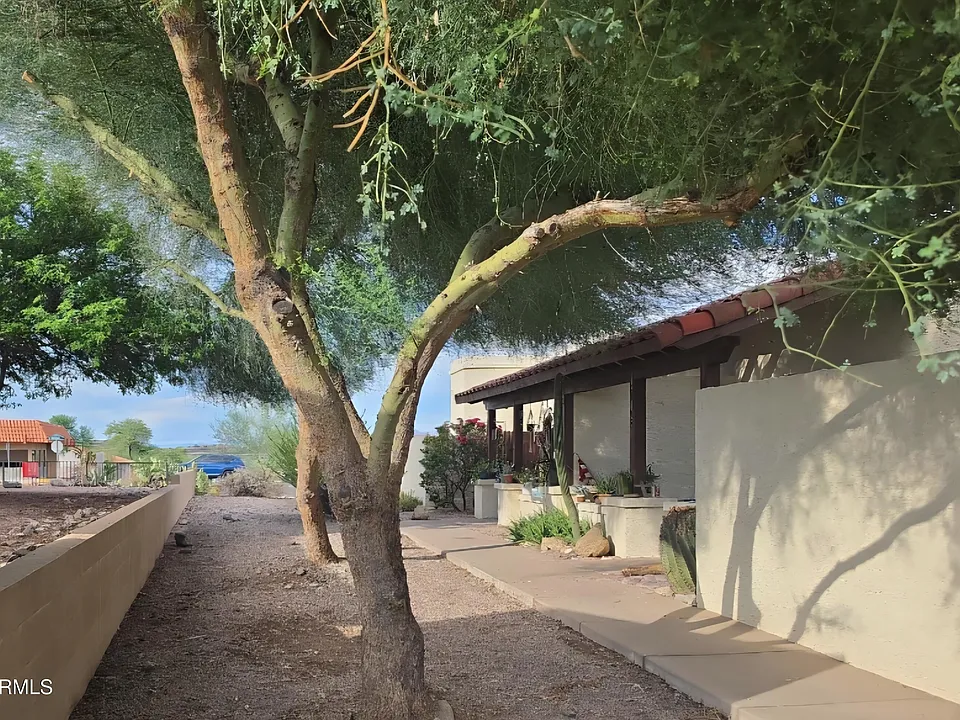 11832 N Saguaro Blvd #103