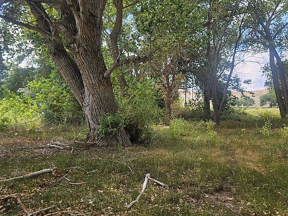 3rd image of 12293 W Highway 40