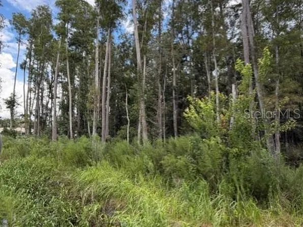 WESLEY CHAPEL BLVD, LUTZ, FL 33559