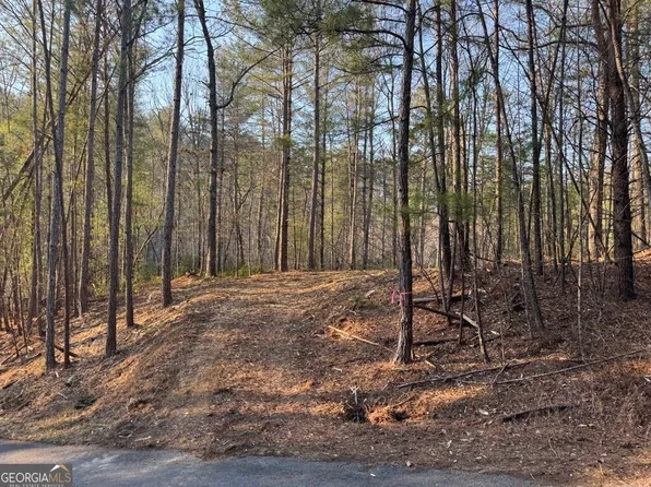 1767 Longbranch Dr, Ranger, GA 30734