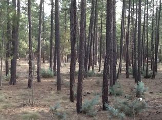 1454 Connor Dr, Lakeside, AZ 85929