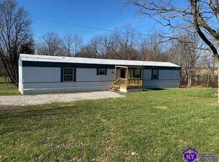 3125 Stringtown Rd, Guston, KY 40142