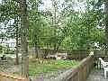 Part of Back Yard