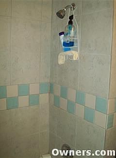 guest br shower tile