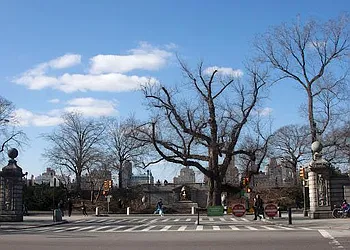 Rented by Living New York