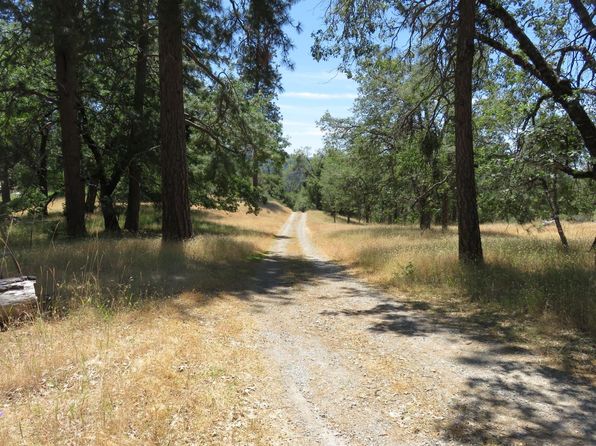4426 Bald Mountain Rd, West Point, CA 95255