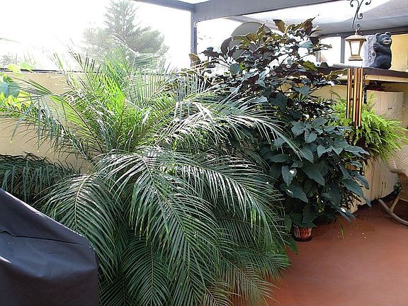 Screened Patio