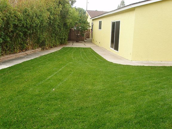 Large private side yard