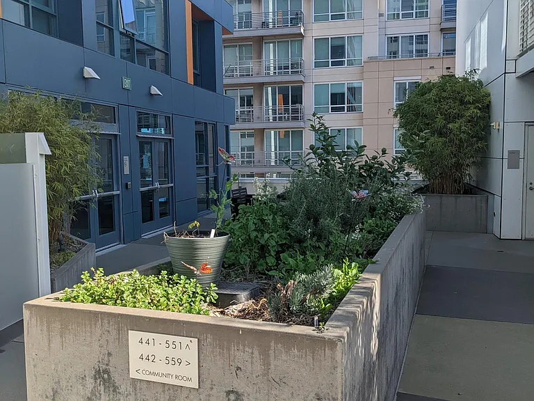 Herb Garden