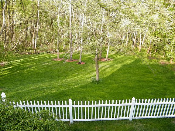 Back yard from deck