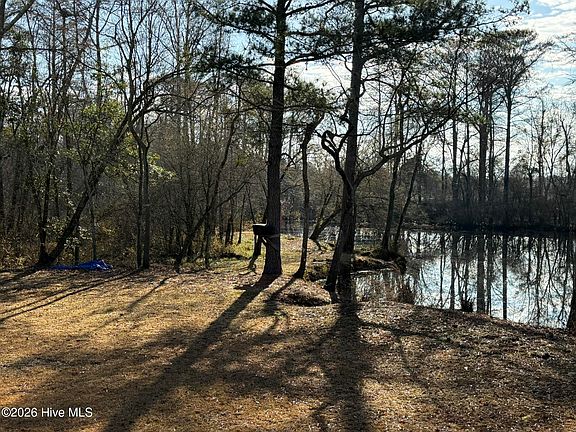 3rd image of 103 Raccoon