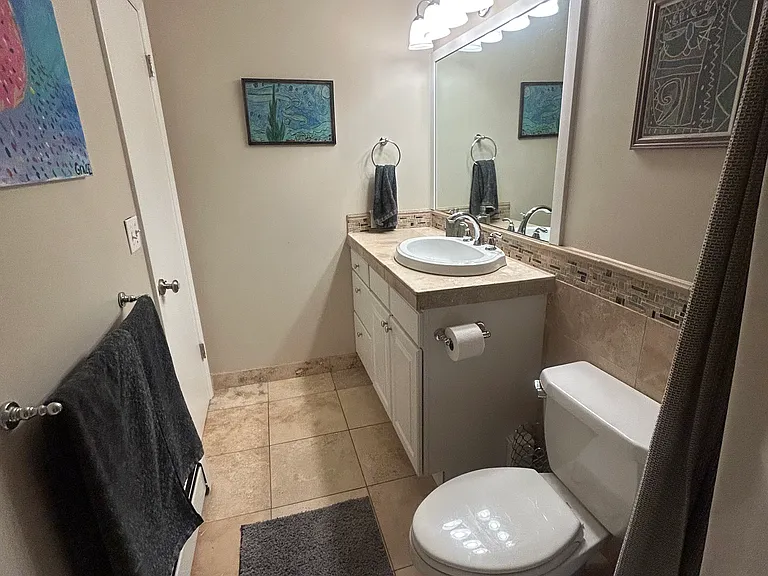 Main Floor Hall Bath