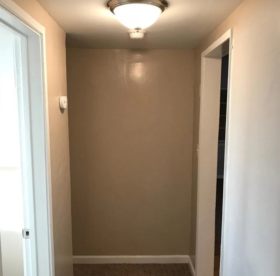 2 bed, 768 sqft, $1,350 — Photo 3