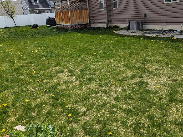 405 Dugout Way #405 — Photo 39