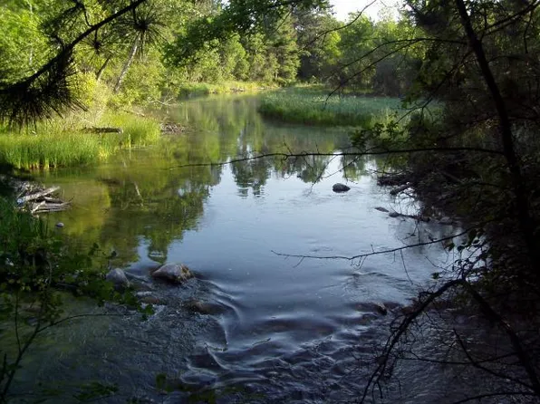 LOT 5 Falling Leaf Trl, Park Rapids, MN 56470